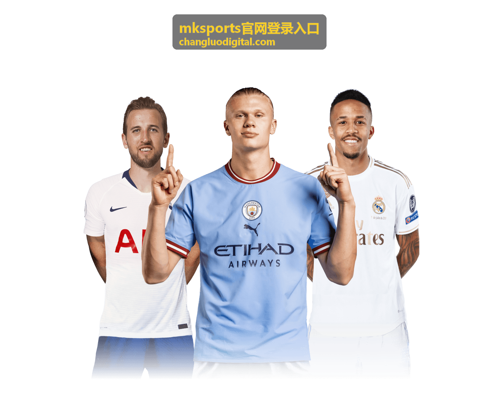 mksports官网登录入口PC端登录方式