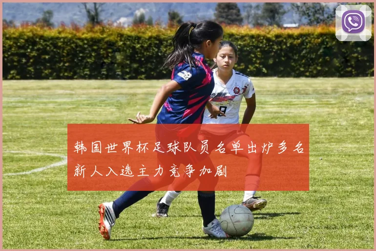 韩国世界杯足球队员名单出炉多名新人入选主力竞争加剧