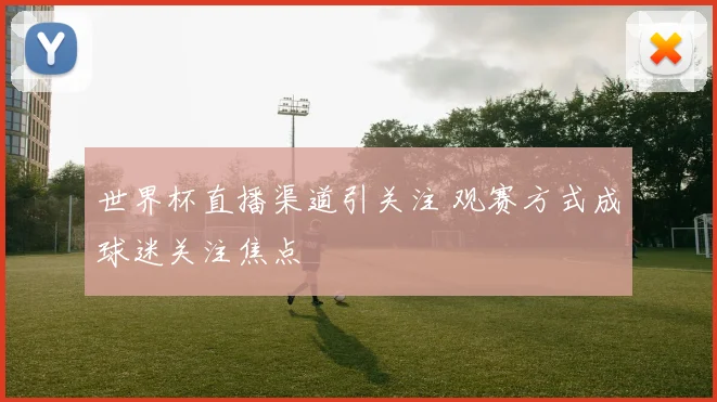 世界杯直播渠道引关注 观赛方式成球迷关注焦点