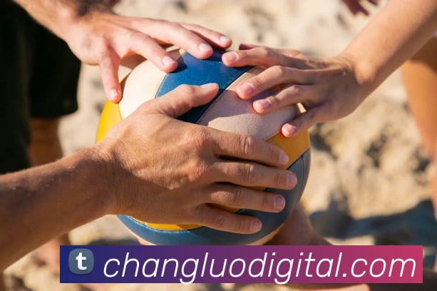 足球世界杯官网中文版平台生态图