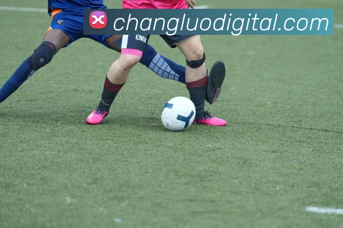 足球世界杯官网中文版APP 封面图